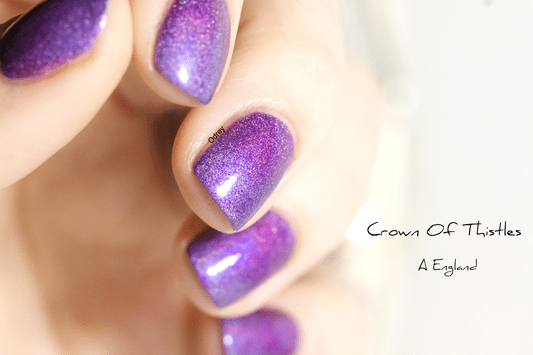 Grandient-avec-crown-of-thistles-A-England6