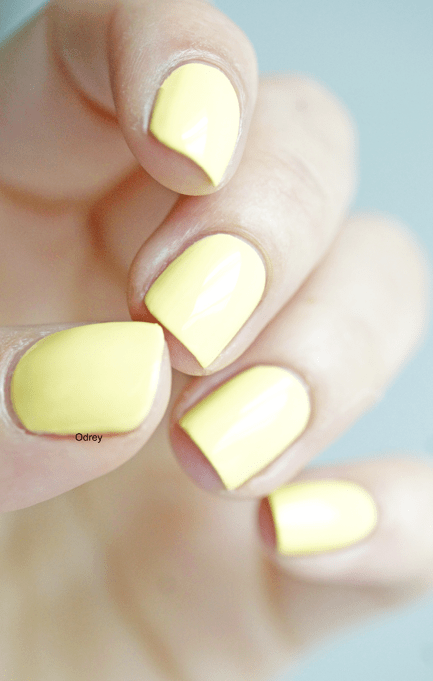 colorii-coachella172